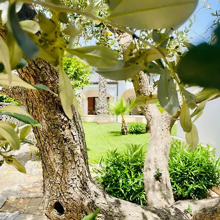 Trulli Ada Noci